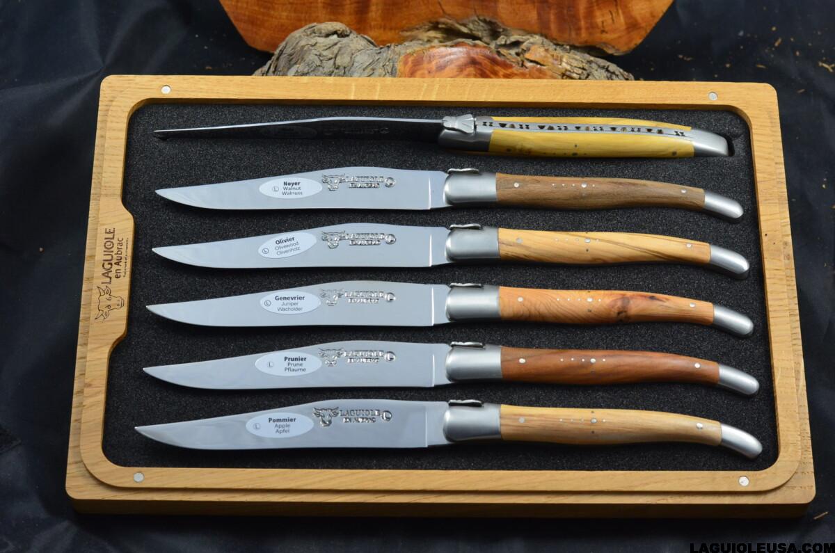 Laguiole set of 6 pastel mix handle knives