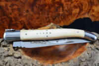 Wild Boar Bone Handle, Single-plate, Laguiole en Aubrac Folding knife