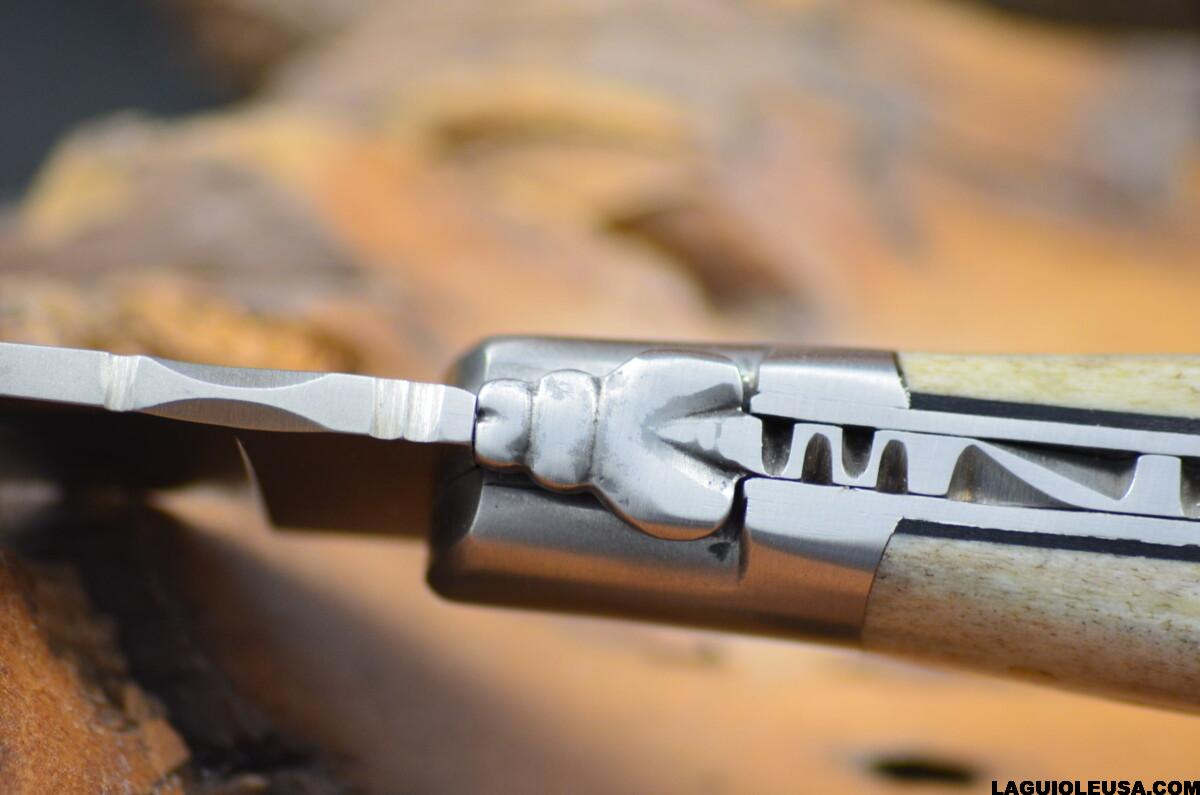 Deer Horn Handle, Single-plate, Laguiole en Aubrac Folding knife - Image 10